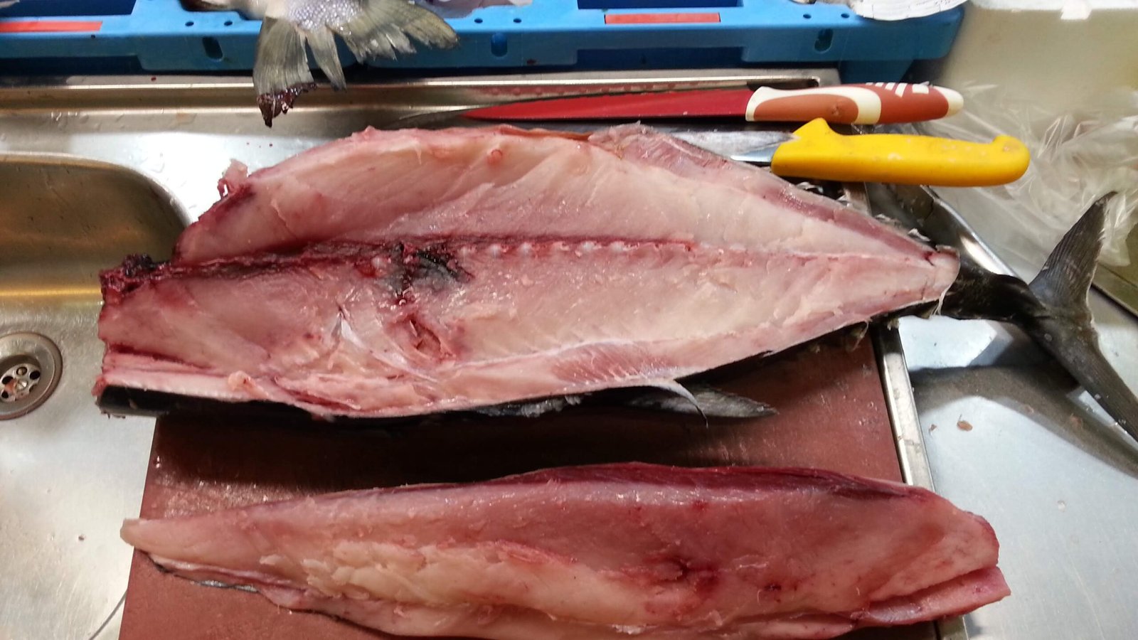 Pescader&iacute;a Castro Lanza Nueva Selecci&oacute;n de Mariscos Frescos para Estas Fiestas, Pescader&iacute;a Castro Lanza Nueva Selecci&oacute;n de Mariscos Frescos para Estas Fiestas, EVARISTO PEDRO FRANCES GUILLEM